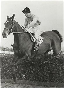 Dick Francis Dick Francis, jockey, mystery writer