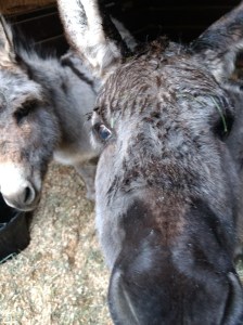 img_20180308_170935628